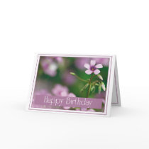 Birthday - Pink Wood Sorrel Greeting Card