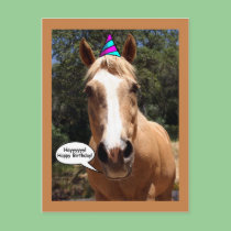 Birthday Postcard - Bess the Horse postcards