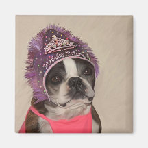 Birthday Princess Magnets