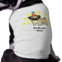 Birthday Pug petshirt