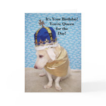 Birthday Queen cards by myrtieshuman Birthday Queen cards