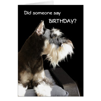 schnauzer birthday greeting card miniature cards gifts zazzle shirts posters gift