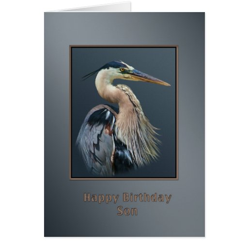 Birthday Son Great Blue Heron Bird Card Zazzle