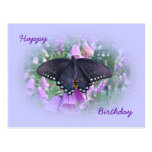 Birthday Spicebush Swallowtail Butterfly Postcards