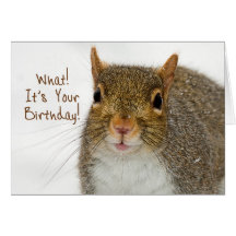 Birthday (Squirrel Close-up) Card
