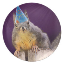 Birthday Squirrel Photo Dinner Plate