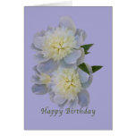 Birthday, White Peonies on Lavender Card