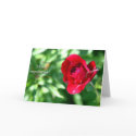 Birthday wishes cards
