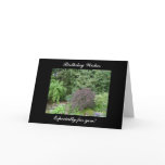 Birthday Wishes Greeting Card