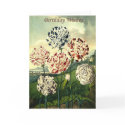 Birthday Wishes - Striped Carnation card