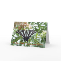 Birthday Wishes To Som... cards