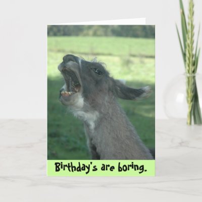 Fun Llama Birthday card