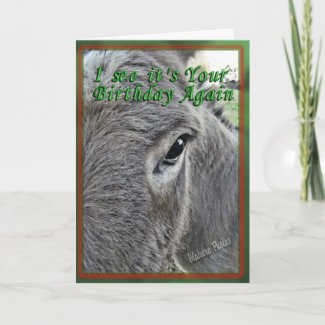 donkey lovers birthday are a kick birthday card