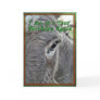 Birthdays Kick Card
