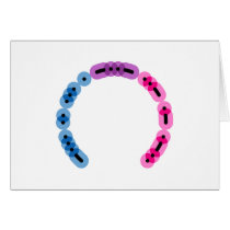 Bisexual Morse Code Arc Card