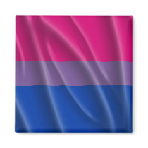 BISEXUAL PRIDE magnets