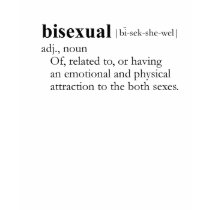 BISEXUAL T-SHIRT / Gay Slang T-shirt by gay_pride BISEXUAL T-SHIRT / Gay Slang T-shirt
