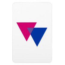 BISEXUAL TRIANGLE SYMBOL MAGNETS