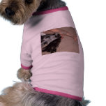 bishop pet tee