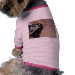 bishop likes tats too pet t shirt