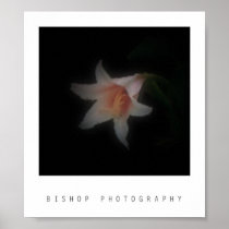 Bishop Photography Posters