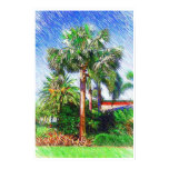 Bismarckia nobilis palm tree, color pencil drawing