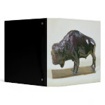 Bison, 1907 binders
