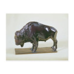 Bison, 1907 post cards