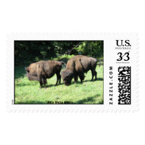 Bison Alta Vista Farm postage