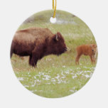 Bison and Calf in Yellowstone Ceramic Ornament