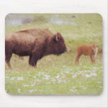 Bison and Calf in Yellowstone Mouse Pad