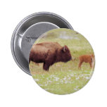 Bison and Calf in Yellowstone Pinback Button