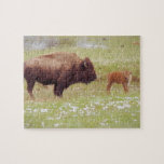 Bison and Calf in Yellowstone Puzzle
