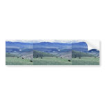 Bison at the National Bison Range Bumper Stickers