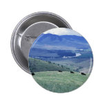 Bison at the National Bison Range Pinback Button