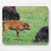 Bison Baby Mousepad
