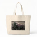 Bison bags