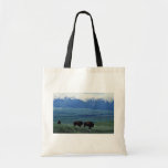 Bison Bags