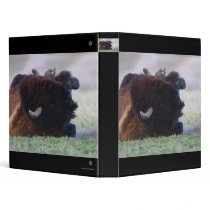 bison binders