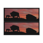 Bison book markers postcards
