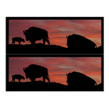 Bison book markers postcards
