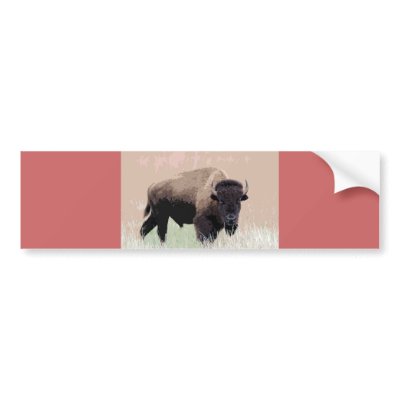 Bison / Buffalo Bumper Stickers by made_in_atlantis