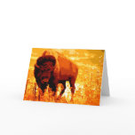 Bison / Buffalo Cards