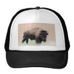 Bison / Buffalo Hat