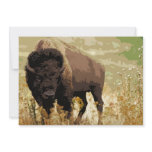 Bison / Buffalo Invitation