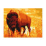 Bison / Buffalo Postcards