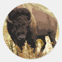 Bison / Buffalo Stickers
