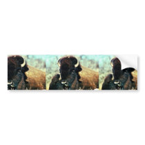 Bison Bumper Stickers