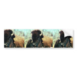 Bison Bumper Stickers