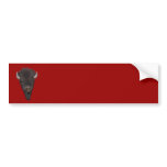 bison bumper stickers